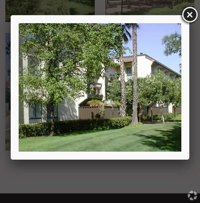 Building Photo - 39843 Cedar Blvd Unit 118 Rental