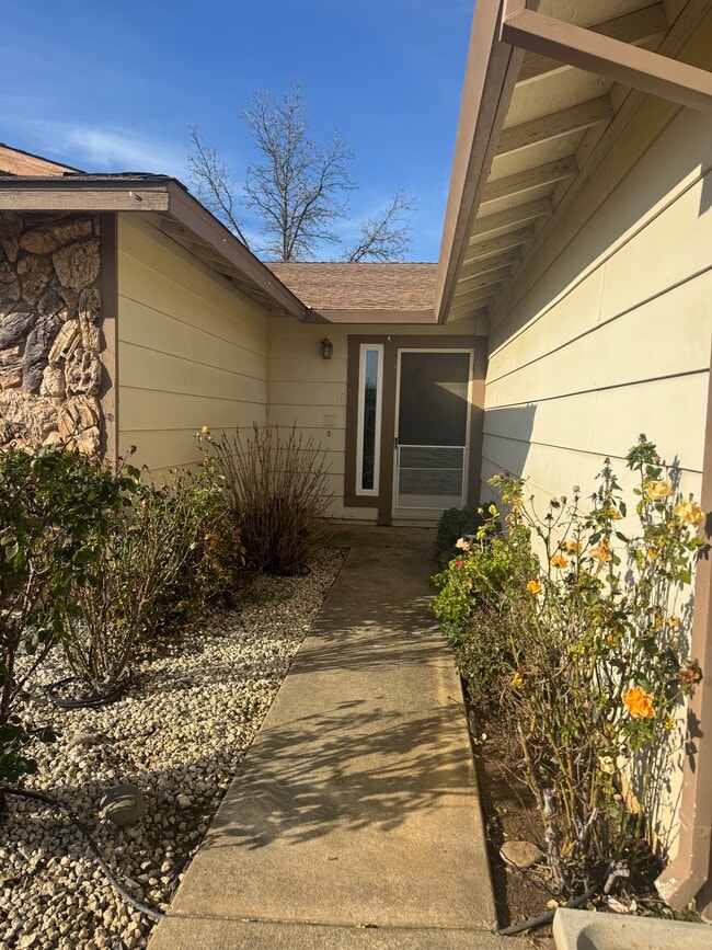 Photo - 113 Carney Cir