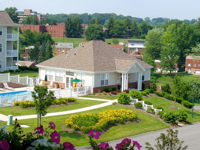 Castle Ridge Apartments - Castle Ridge Apartments