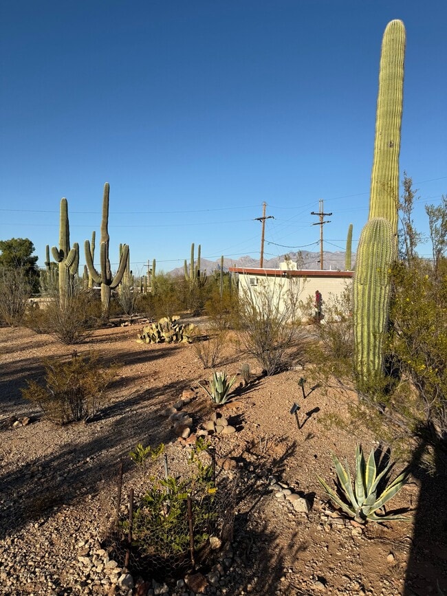 Building Photo - 1702 N Greasewood Rd