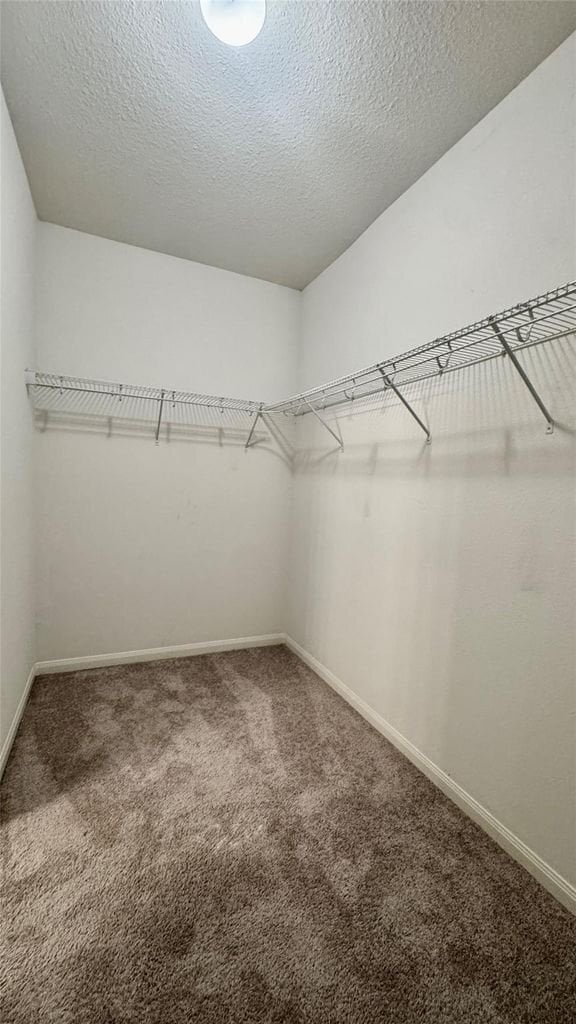 Photo - 12019 Quartersawn Ln