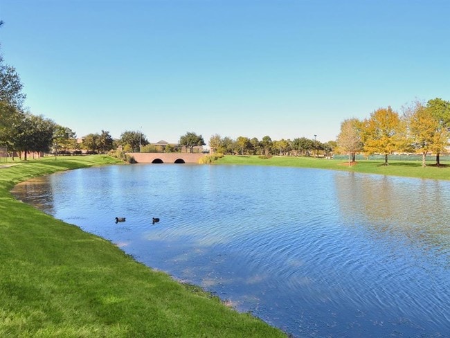 The Lakes at Cinco Ranch