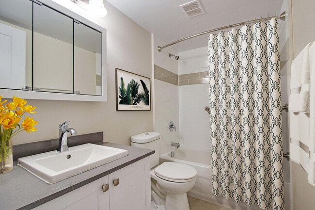 Photo - Bowling Green IV