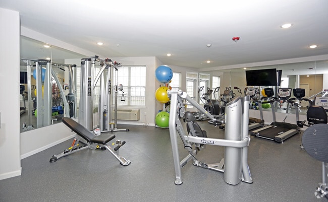 Gimnasio