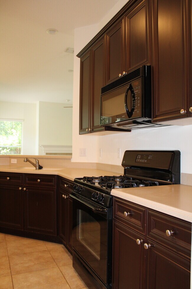 WGV King and the Bear Rental For Rent in Saint Augustine, FL