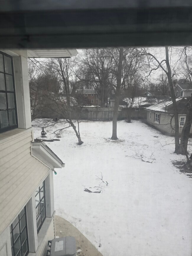 Side Yard - 515 Houston St Unit Upper