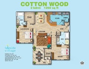 Cotton Wood