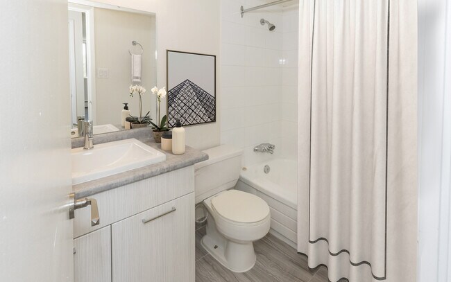 Photo - Solano House