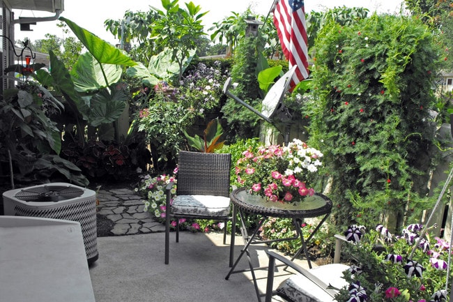 Photo - Baltimore Court Apartments