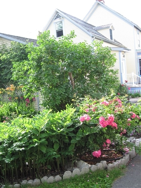 Photo - 17 Couch St Unit 17A