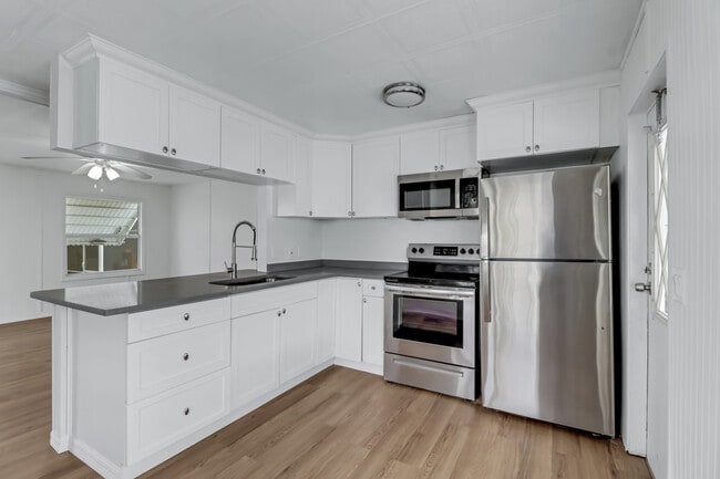 Kitchen Stainless steel appliances