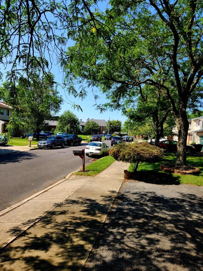 Parking in front of home - 1637 Ilona Dr Unit LARGE PRIVATE ROOM