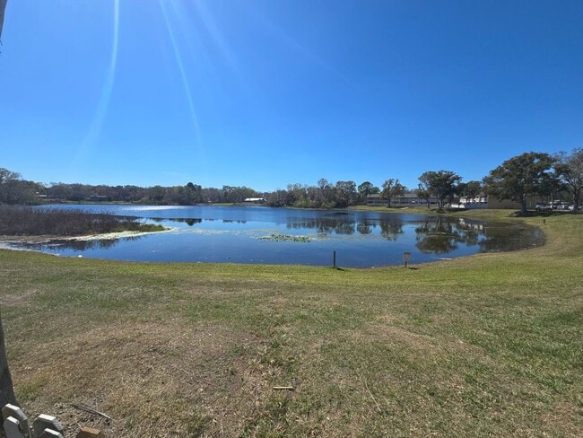 Photo - 2-Bedroom, 2-Bathroom Condo in Land O' Lakes