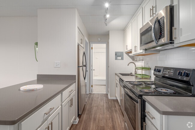 1BD, 1BA Remodeled - 500SF - Kitchen