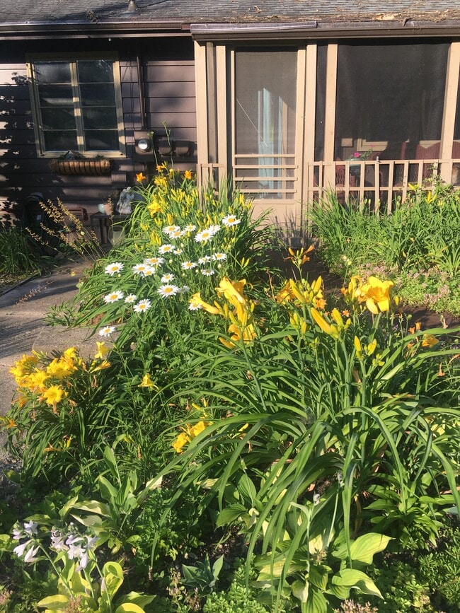 Photo - 5309 N River Rd Unit Lower level