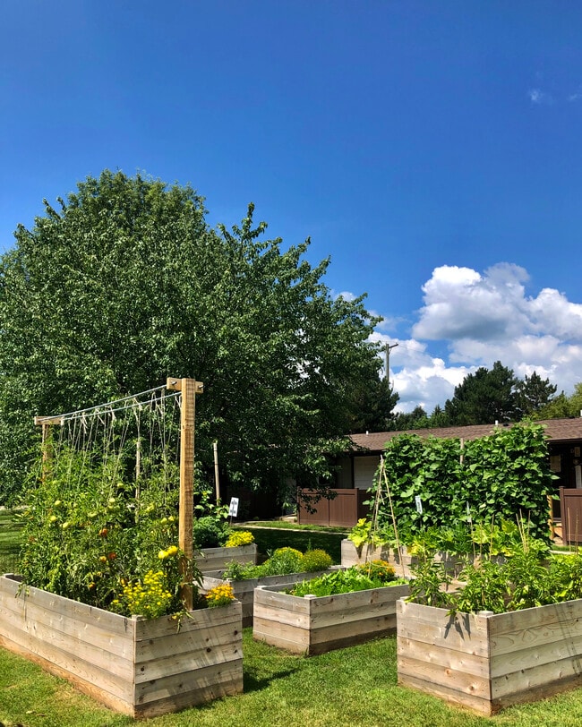 Photo - Pineridge Apartments