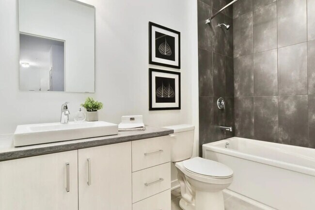 Photo - Le 6000 Tourbière