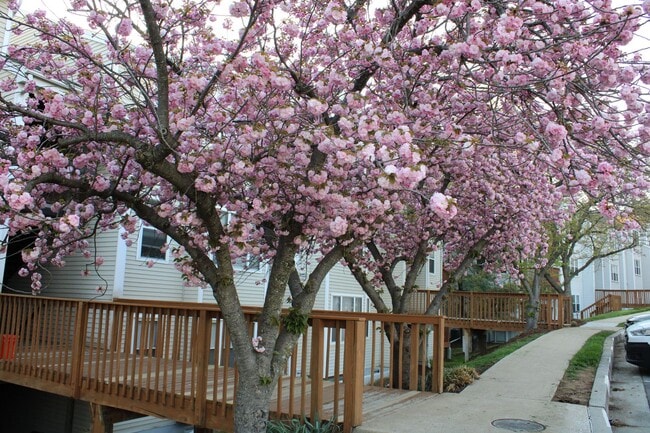 Photo - Charming 2 Bedroom/1 Bathroom Condo in Halethorpe, MD! Unit H