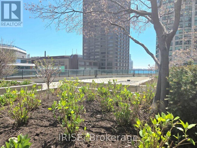 Photo - 16 Yonge St Unit 510