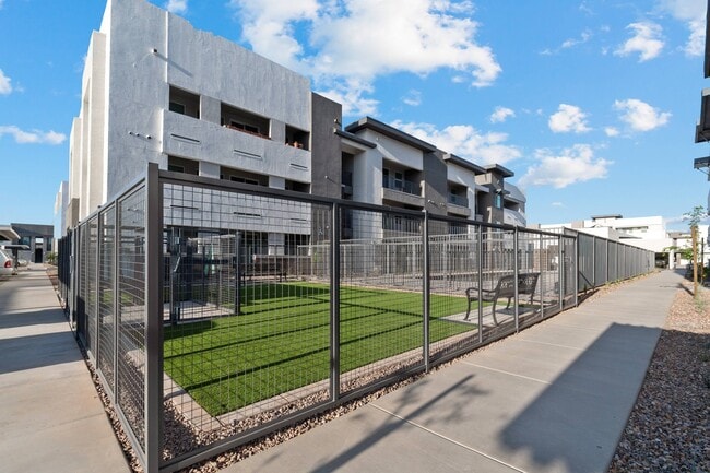 Dog Park - Acero Val Vista