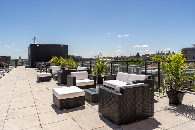 Photo - Glo 2 - Ville-Marie Apartments