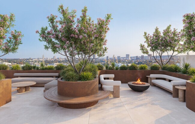 Picora Rooftop