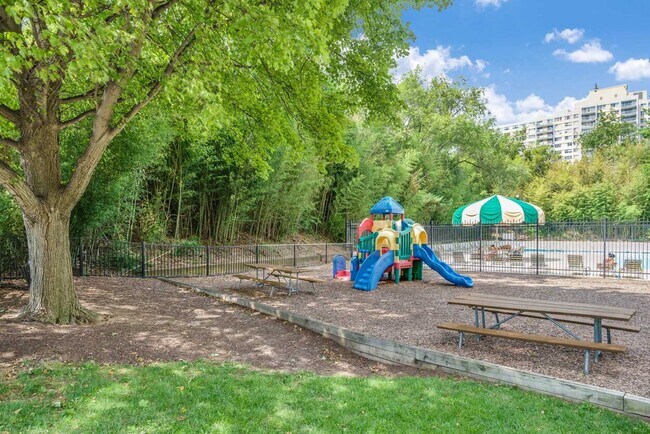 Photo - Excelsior Tower