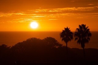 Building Photo - 632 E Solana Cir Unit Solana Court