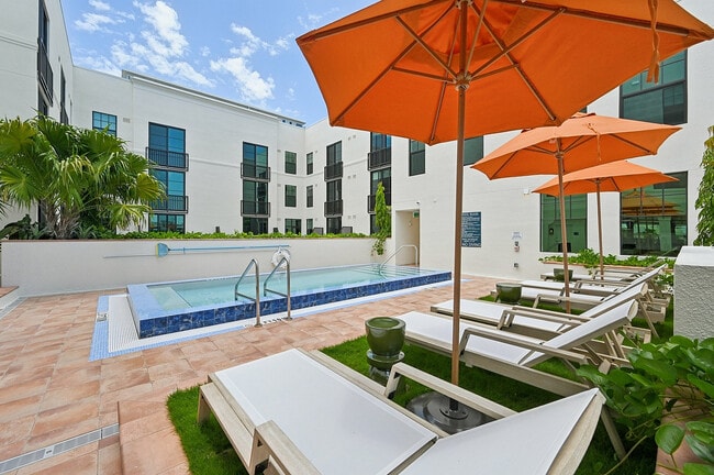 Vine on Clematis - Vine on Clematis