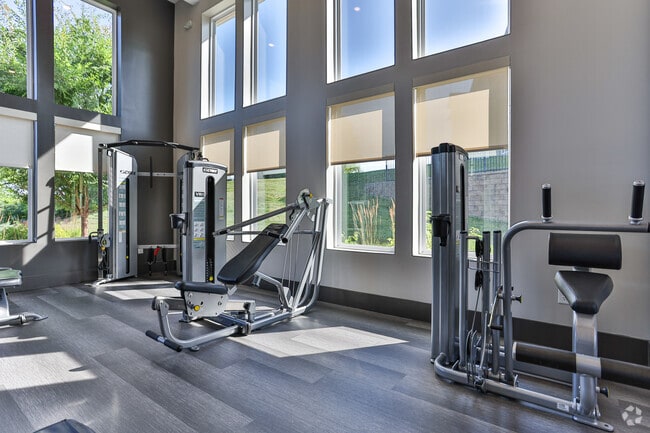Gimnasio