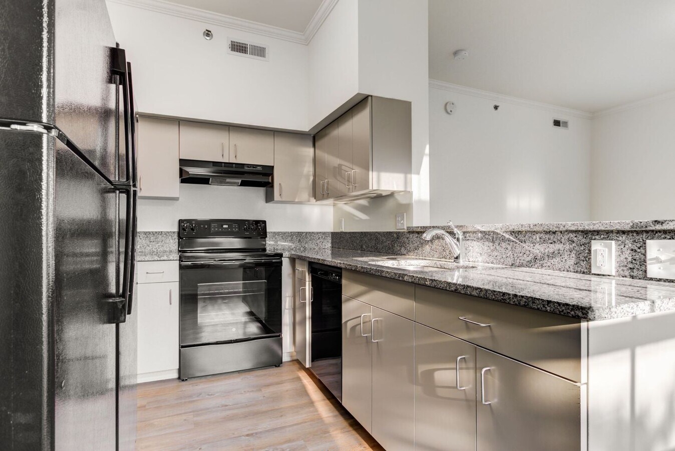 The Barrister - The Barrister