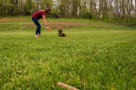 Off Leash Dog Park