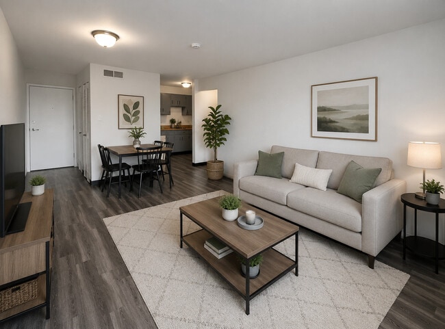 Apartment Living Room & Kitchen