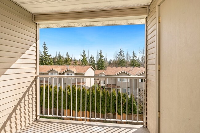 Evergreen Grove