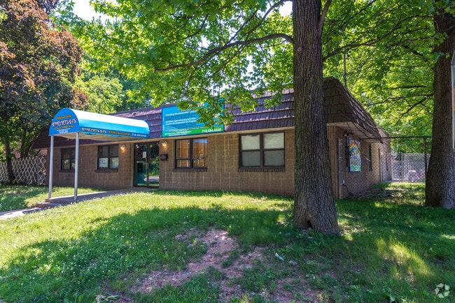 Photo - Dolphin Cove