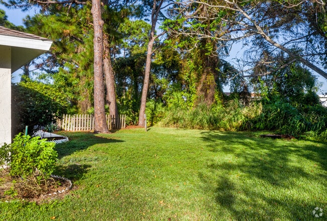 The Backyard
