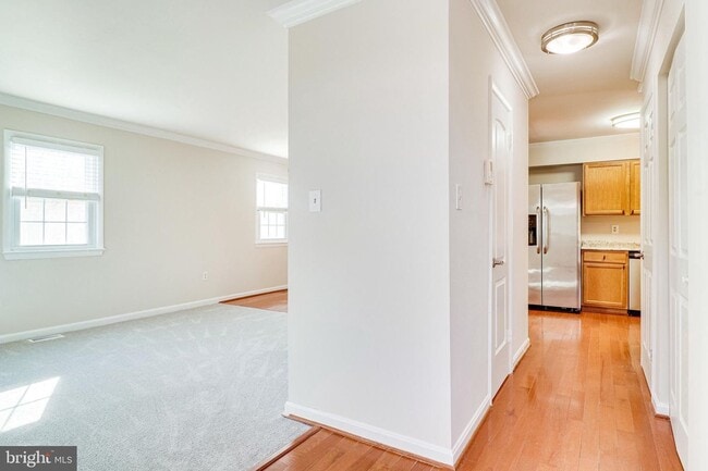 3000 Winter Pine Ct