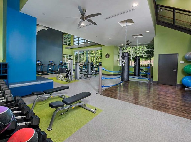 AMLI Piedmont Heights
