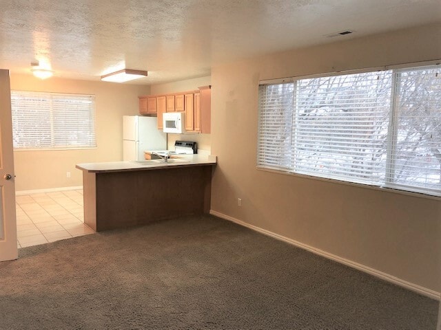 Large Living Room - Lots of Light - 414 400 N Condo Unit 2