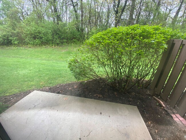 Photo - SHI RENTAL Unit 5337-102 Rent