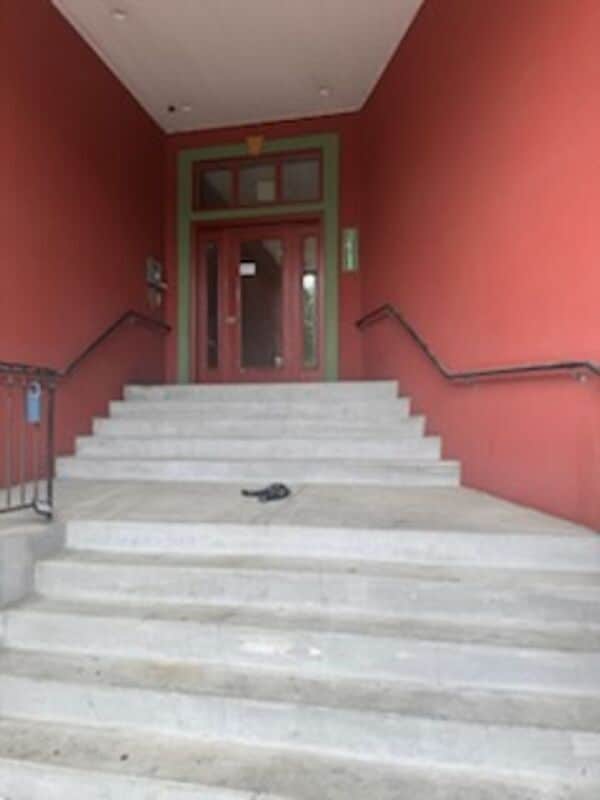 Photo - 2411 Brownsboro Rd House