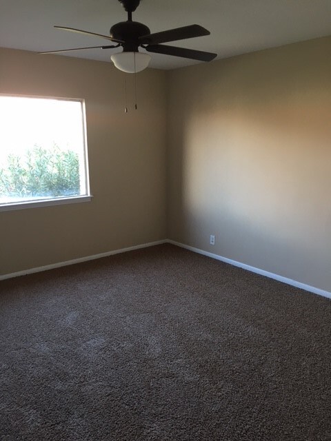 Photo - The Thunderbird