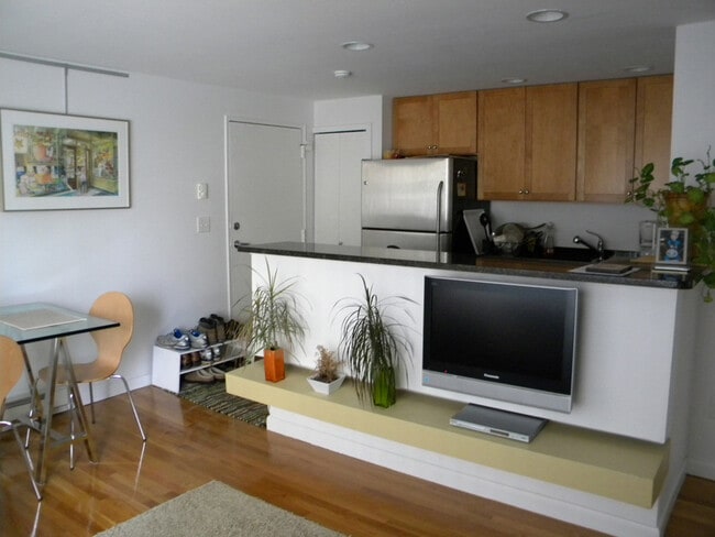 Furnished Kitchen/Living Room - 70 Park St Unit 22