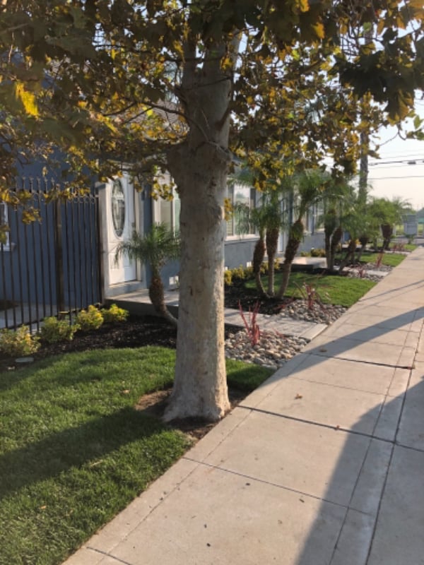 Photo - 5 Carlton Way