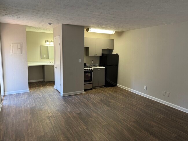 Studio Living Room/Kitchen