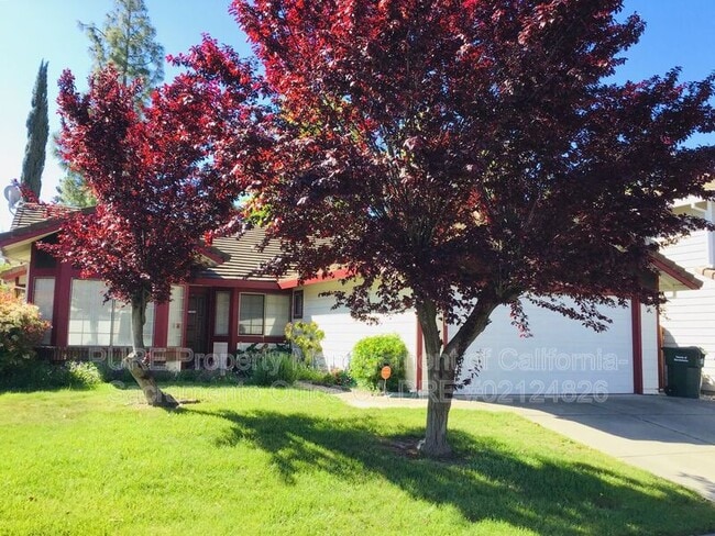 Photo - 3228 Boulder Creek Way