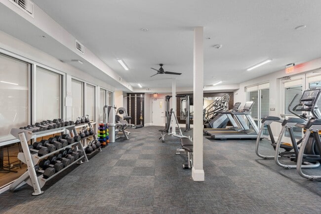 Gimnasio