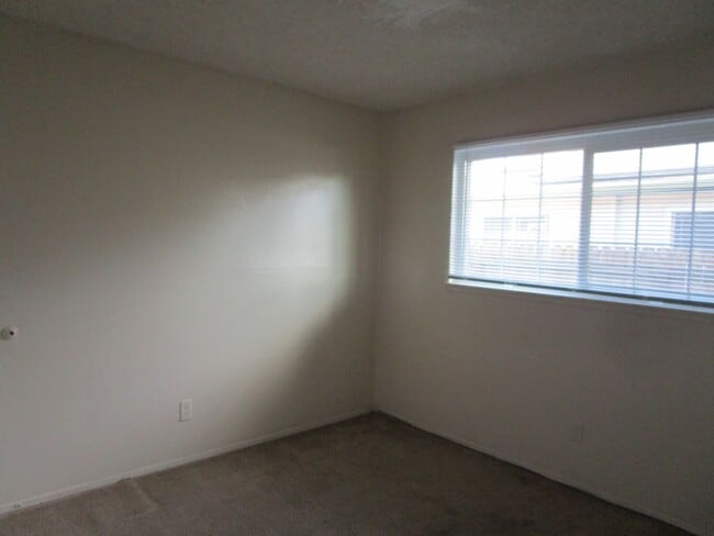 Photo - 231 Stephen St