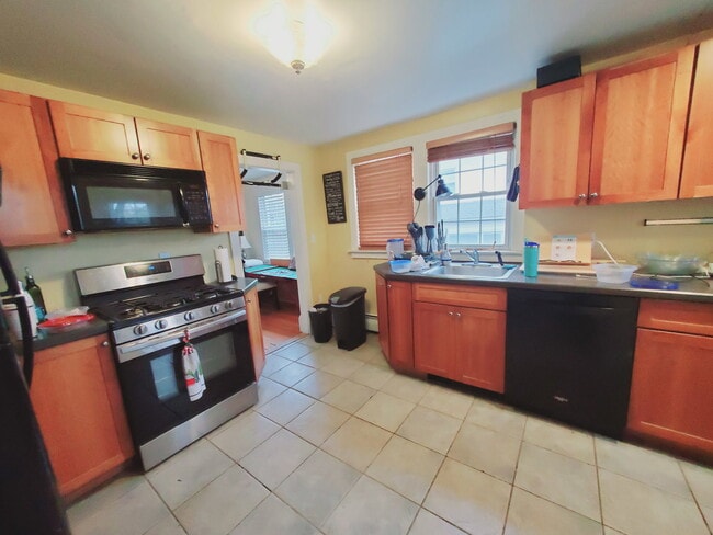 Photo - 61 Palmer St