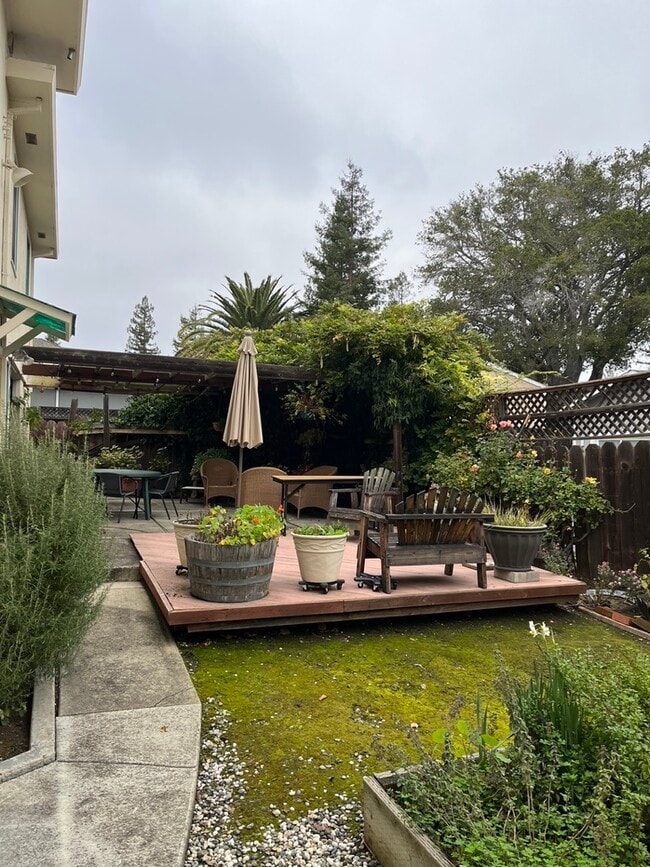 Back Yard - 371 Cerrito Ave Unit 371 Cerrito